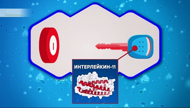 как действует препарат