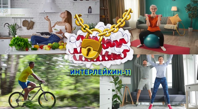 Как снизить активность интерлейкина 11