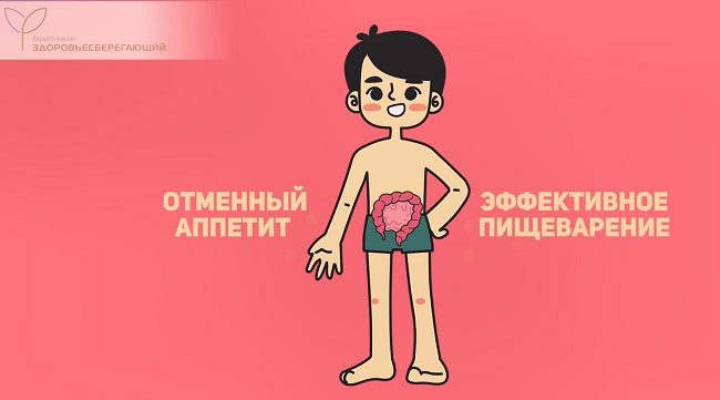 улучшение пищеварения