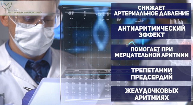 профилактика сердечно-сосудистой системы