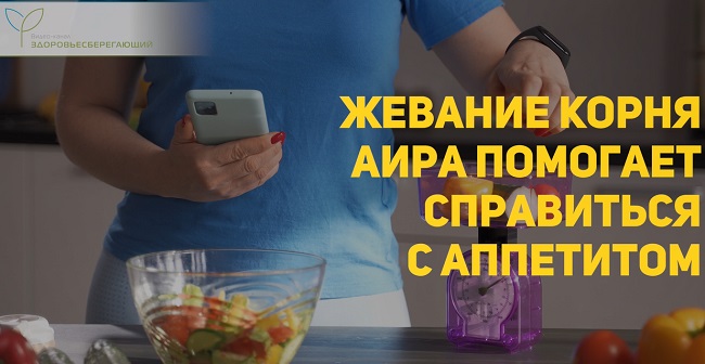 зачем жевать корень аира