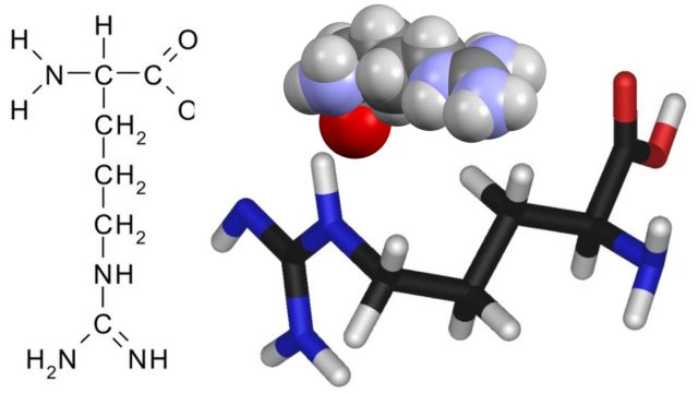 Молекула аргинина