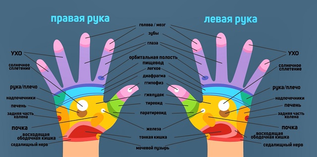 карта органов