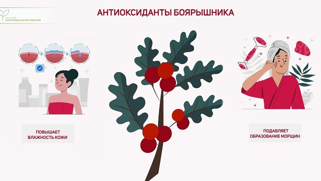 антивозрастной эффект