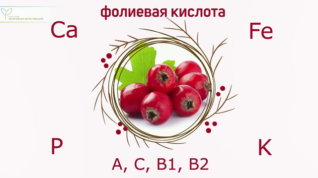 Состав боярышника