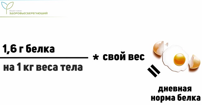 суточная норма белка