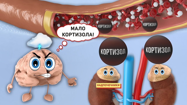 резистентность к кортизолу