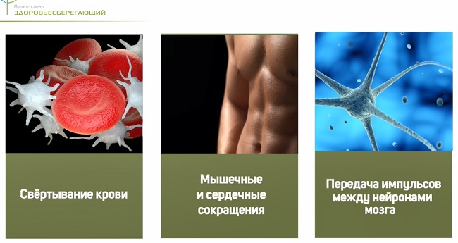Как сделать фосфор в домашних условиях. Смотреть фото Как сделать фосфор в домашних условиях. Смотреть картинку Как сделать фосфор в домашних условиях. Картинка про Как сделать фосфор в домашних условиях. Фото Как сделать фосфор в домашних условиях