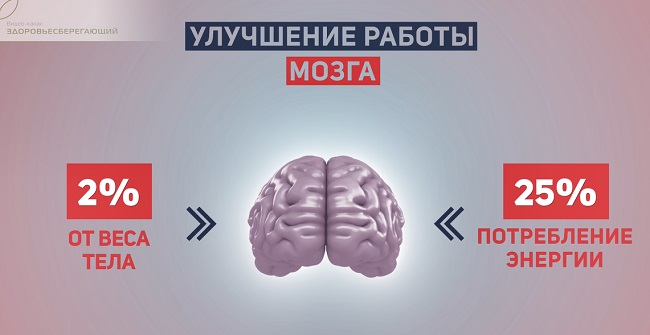 улучшение работы мозга