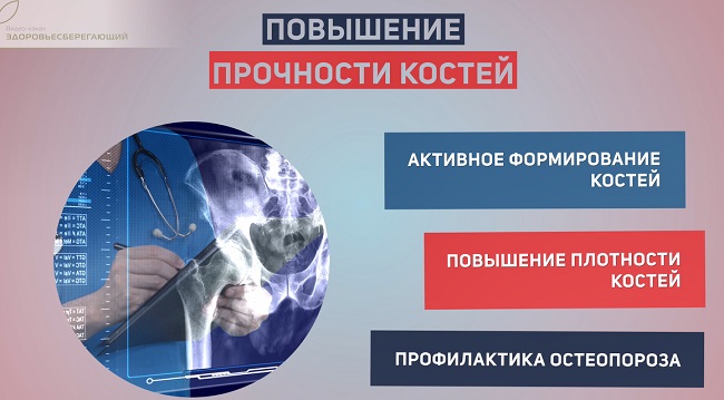 прочность костей