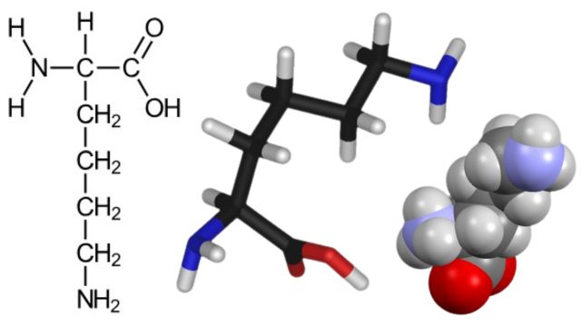 Формула лизина