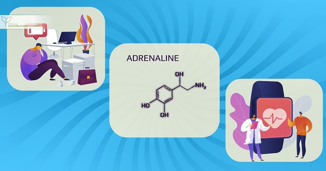 повышенный пульс