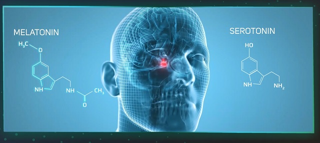Мелатонини и серотонин