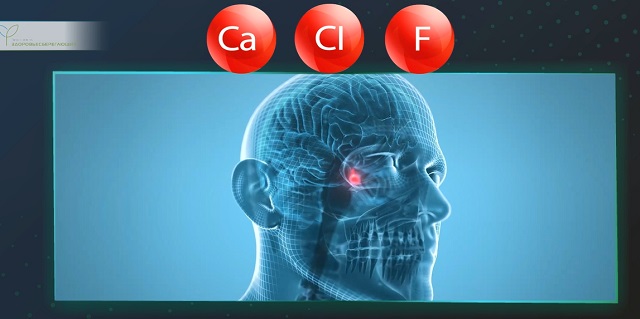 Понизить кальцификацию эпифиза