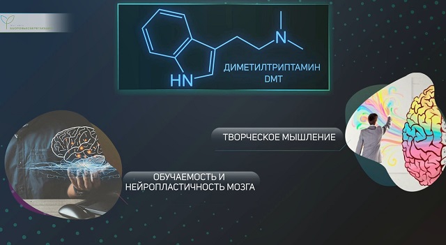 Диметилтриптамин - ДМТ