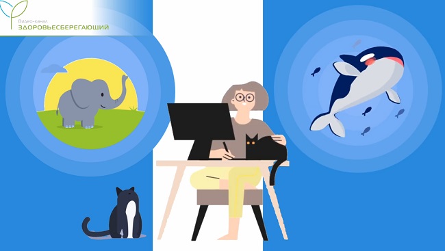 все млекопитающие имеют в мышцах миоглобин