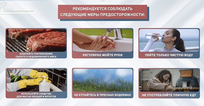 Продукты убивающие глистов
