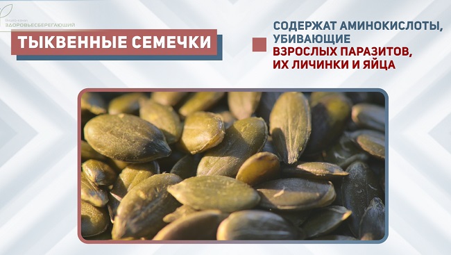 семена тыквы