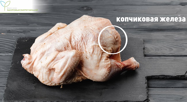 куриная гузка