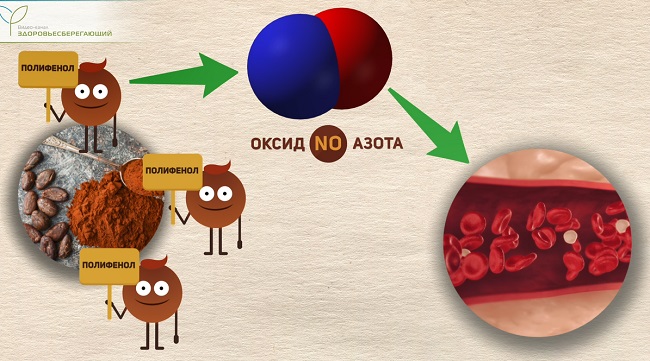 полифенолы в какао