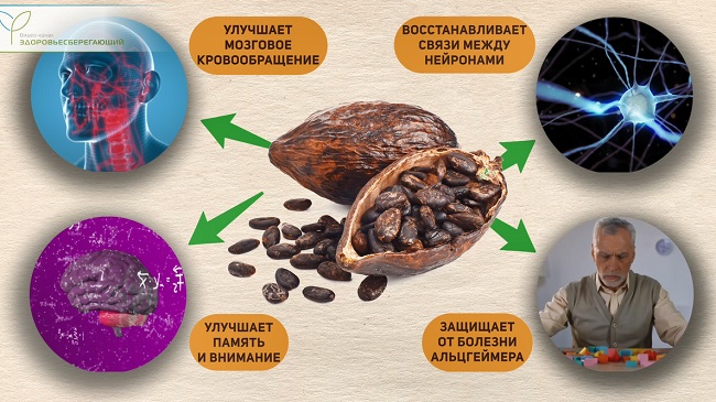 польза какао для организма