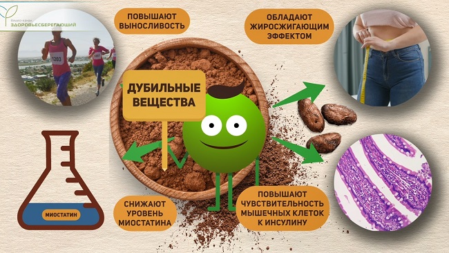 какао для спортсменов