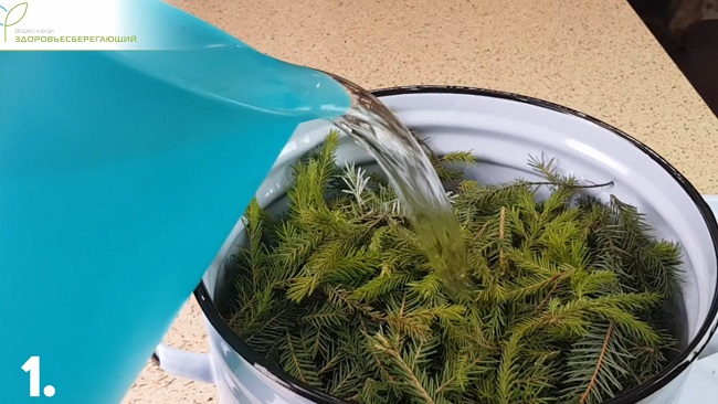 веточки в кастрюле