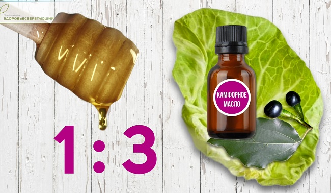 мёд и камфора