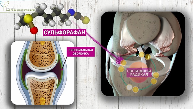 сульфарафан