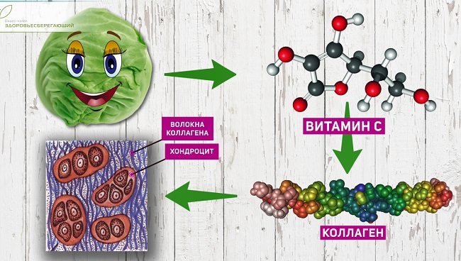 Капустный лист от боли в суставах и позвоночнике – как делать компресс ...