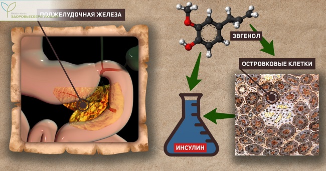 профилактика сахарного диабета