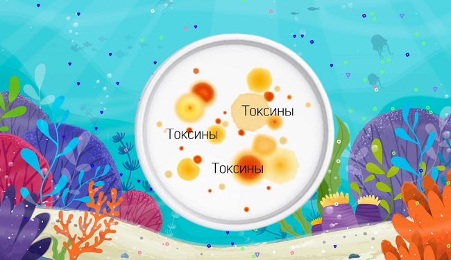 как микропластик влияет на организм