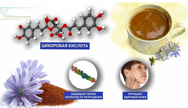 цикоровая кислота