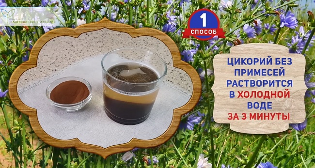 Проверка качества цикория 1