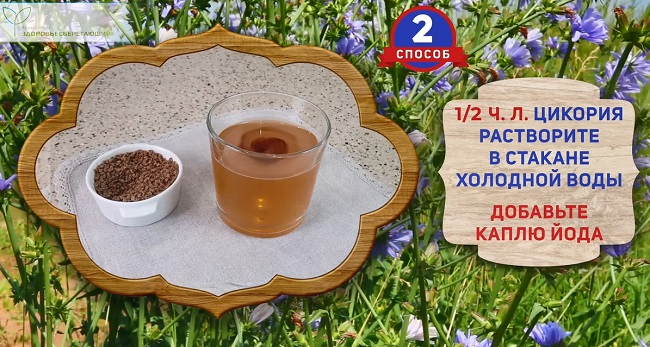 Проверка качества цикория 2