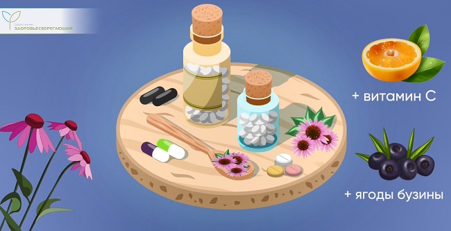 добавки с эхинацеей