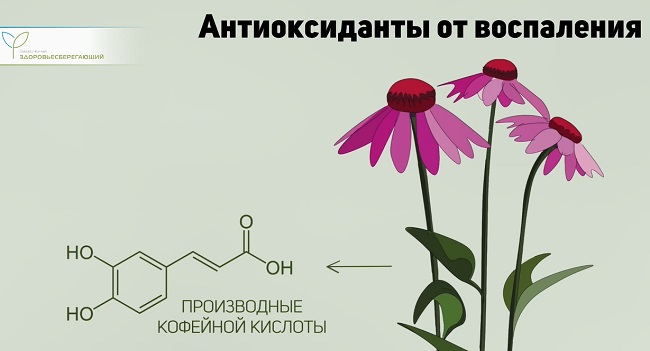 антиоксиданты