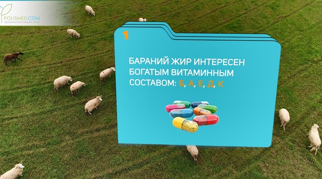 Состав бараньего жира