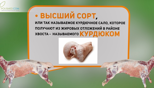 курдюк - высший сорт