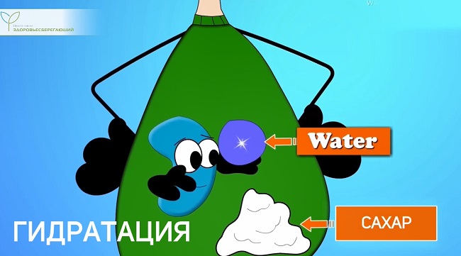 Гидратация