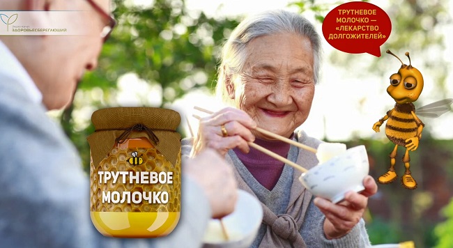 трутневое молочко