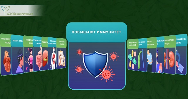 польза семян укропа