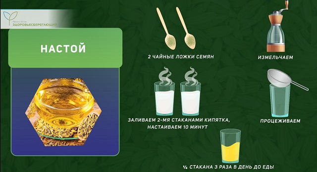 настой из семян укропа