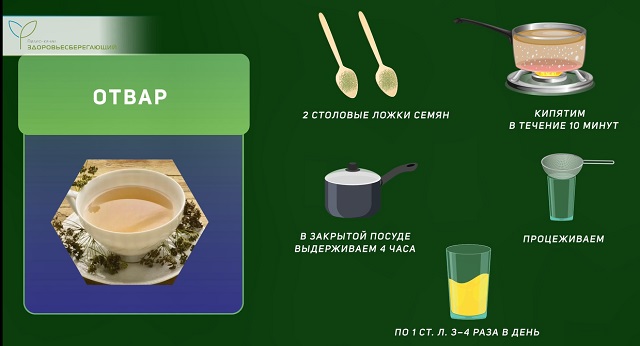 отвар из семян укропа