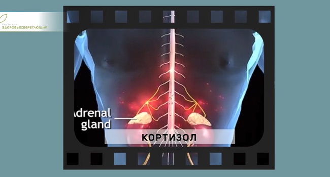 стресс и иммунитет