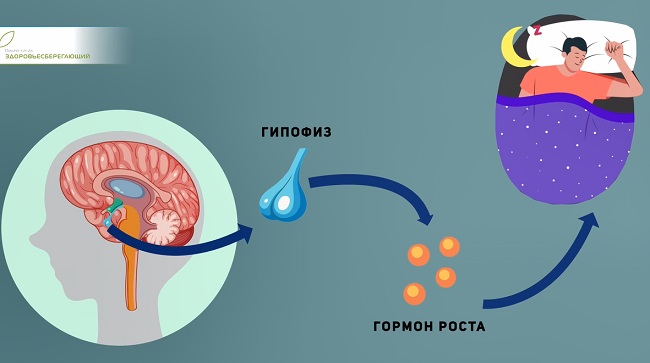 не наедаться на ночь