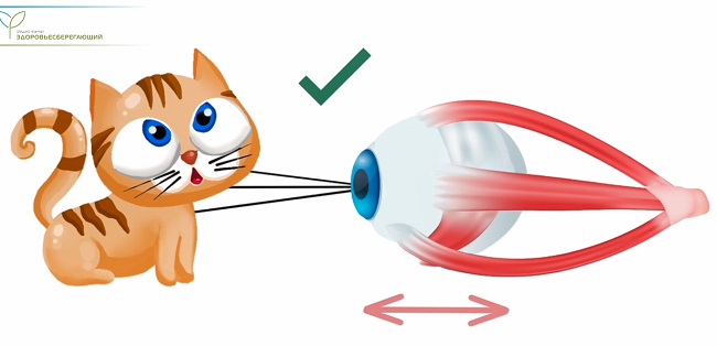 дальнозоркость по Бейтсу