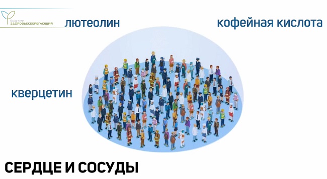 Кусочек прополиса каждый день – что будет с организмом :: Polismed.com
