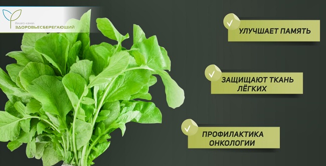 Зелень редьки