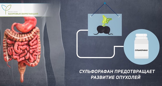 профилактика рака